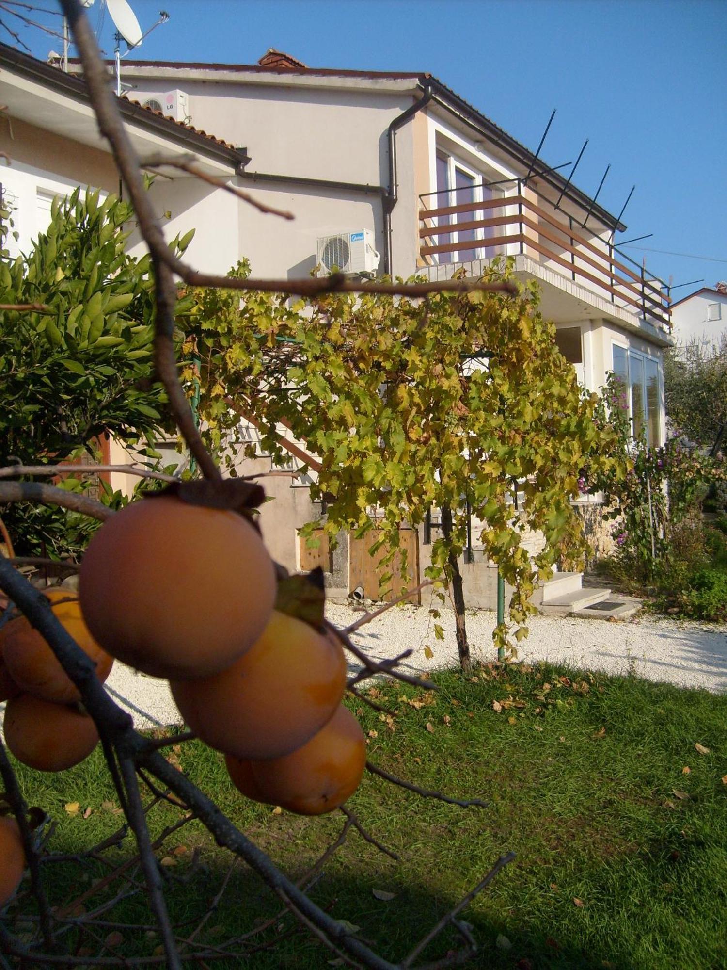Apartments Bernic Μεντουλίν Εξωτερικό φωτογραφία
